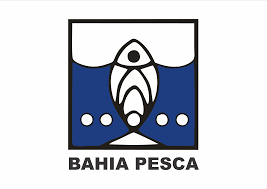 Bahia Pesca Bahia Pesca